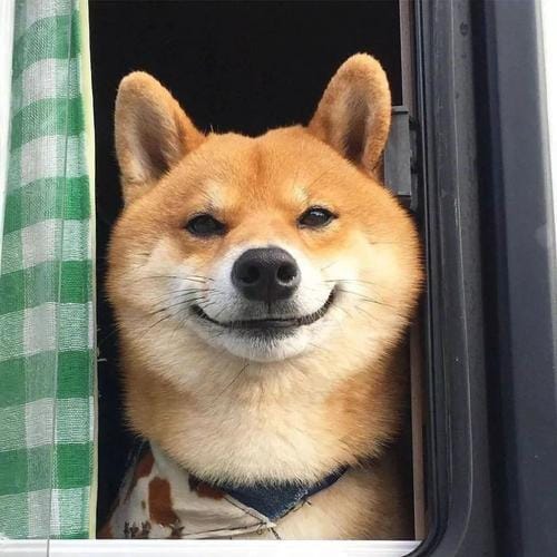 Yasir Hussain avatar